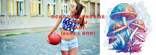 прущий лед Алексеевка