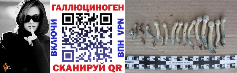 Псилоцибиновые грибы мицелий  Билибино 